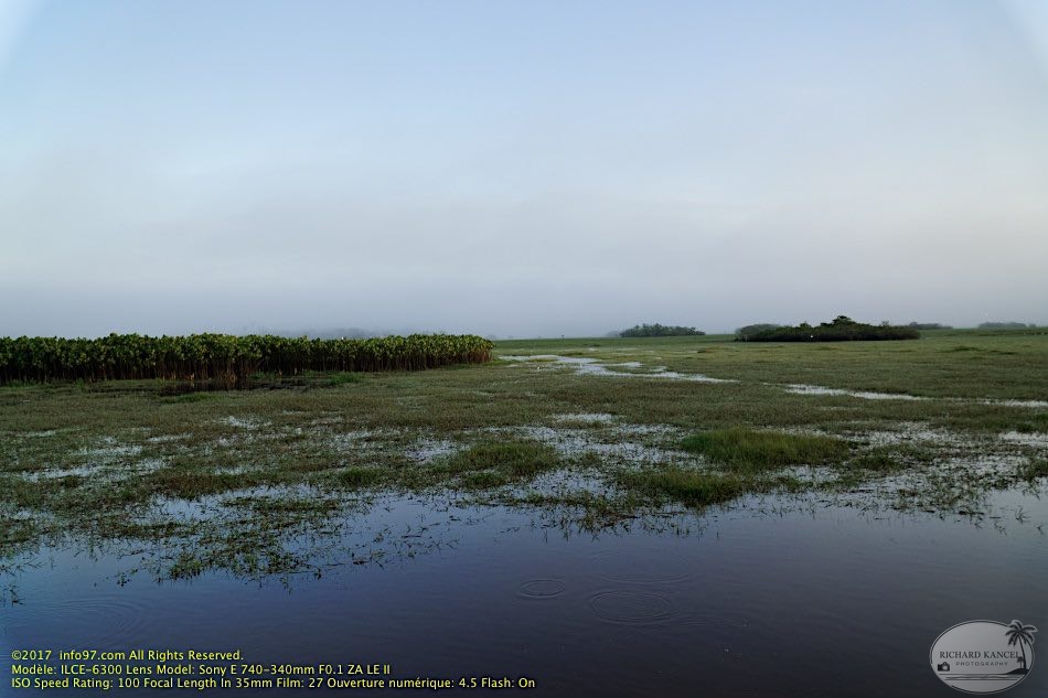 guyane105-marais-kaw.jpg