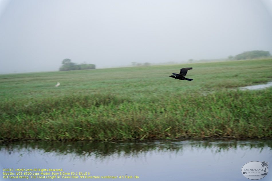 guyane107-marais-kaw.jpg
