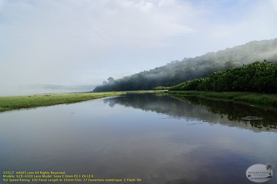 guyane110-marais-kaw.jpg