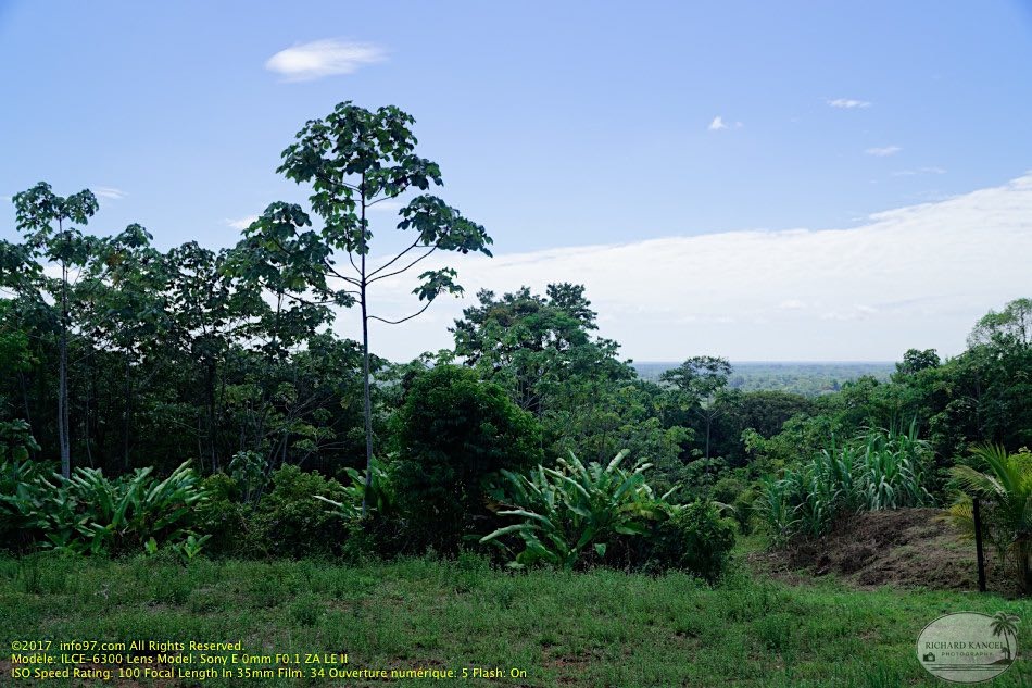 guyane111-marais-kaw.jpg