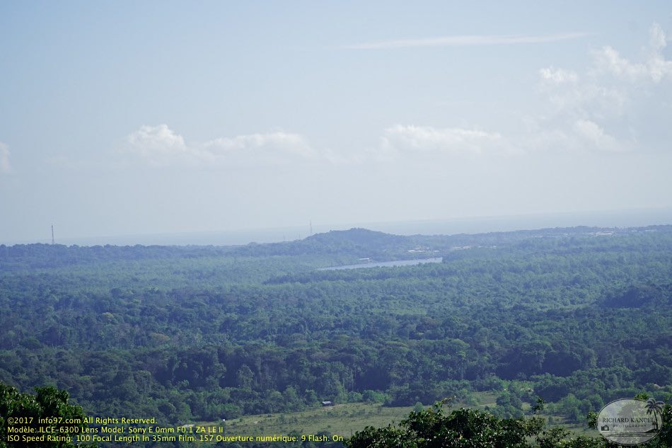 guyane04-montagne-des-singes.jpg