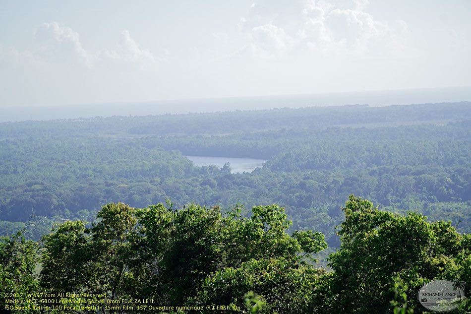 guyane08-montagne-des-singes.jpg