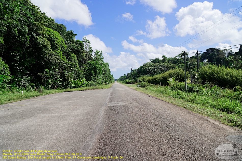 guyane18-montagne-des-singes.jpg