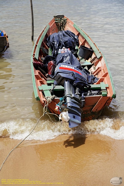 suriname20-albina.jpg