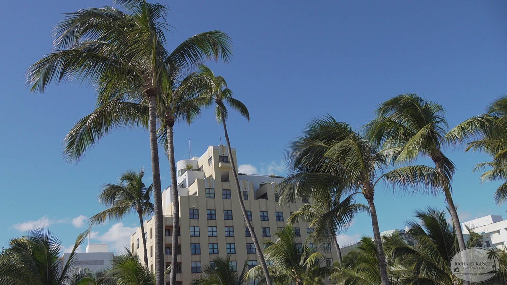 fort-lauderdale-f420.jpg