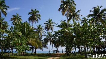 plage-saint-domingue1