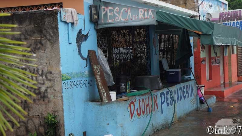 portrait-st-domingue40.jpg