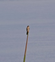 173E09BB-EE85-42E3-835D-47B184B06795