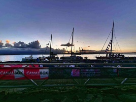 P1070026-jdavies-dick