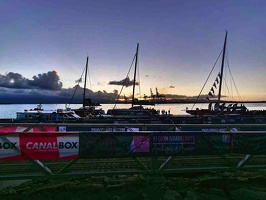 P1070027-jdavies-dick