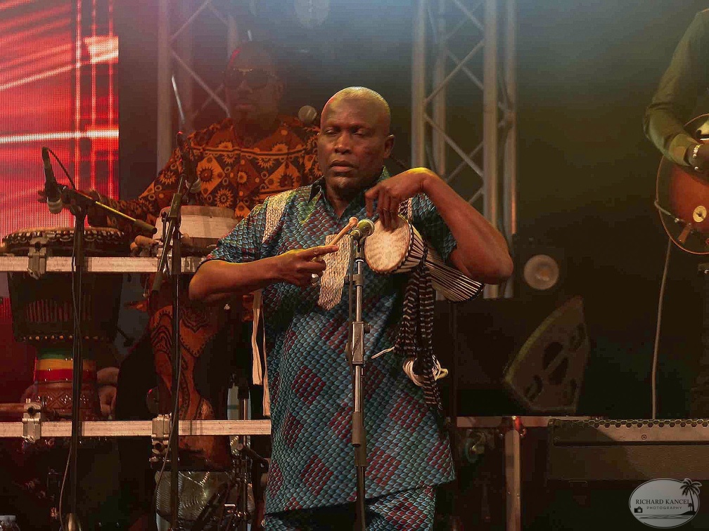 _1071524-youssou-ndour-terre-de-blues.jpg