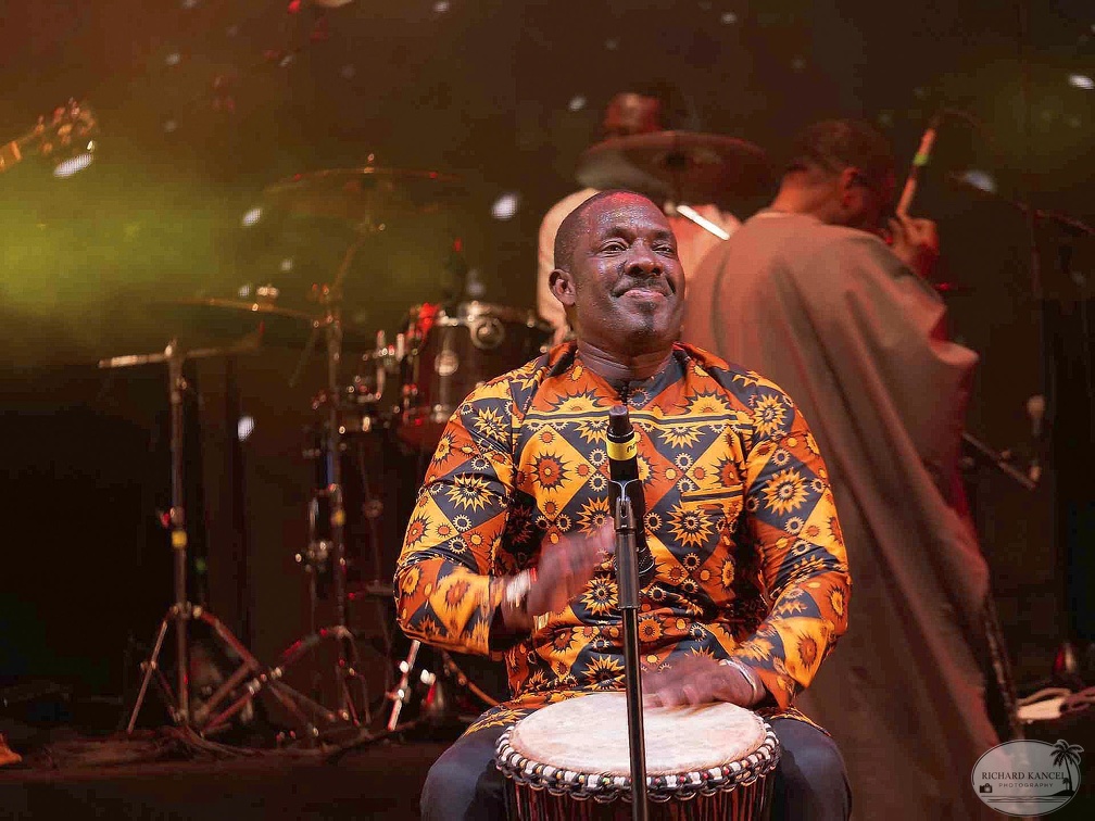 _1071587-youssou-ndour-terre-de-blues.jpg