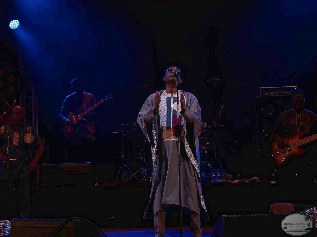 _1071597-youssou-ndour-terre-de-blues.jpg
