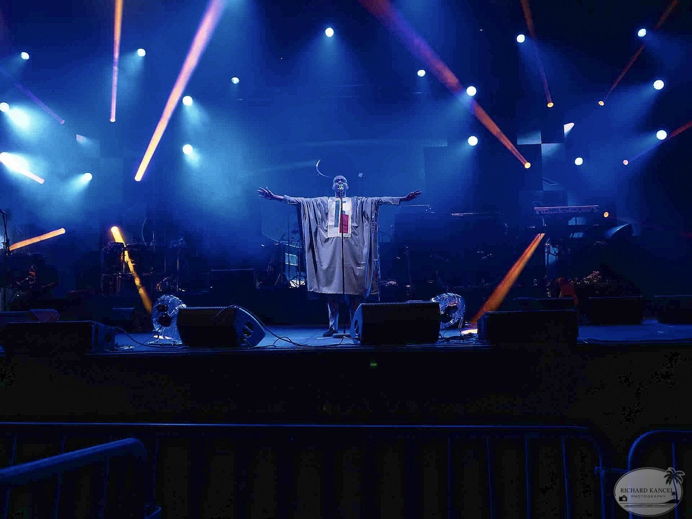_1071617-youssou-ndour-terre-de-blues.jpg