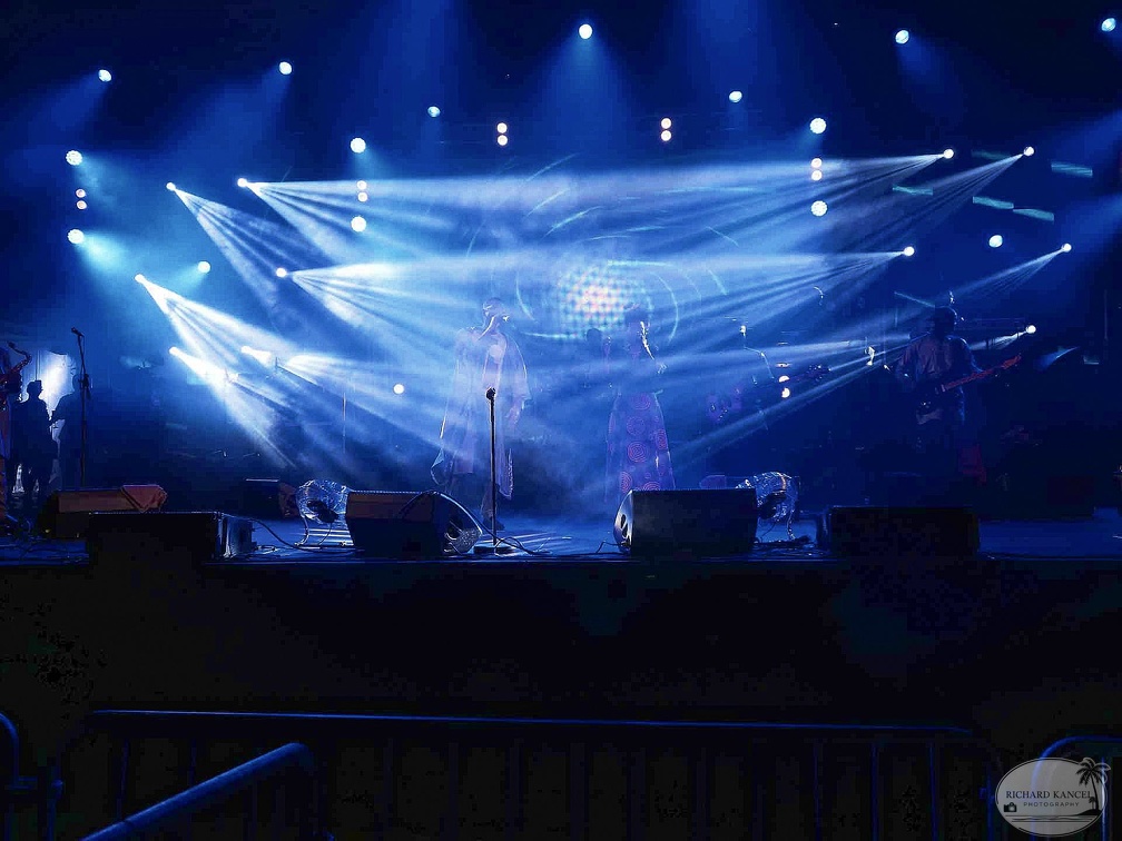 _1071620-youssou-ndour-terre-de-blues.jpg