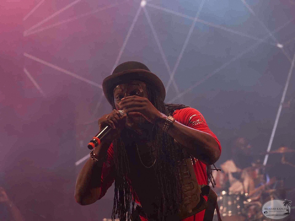 _1071432-aswad-terre-de-blues.jpg