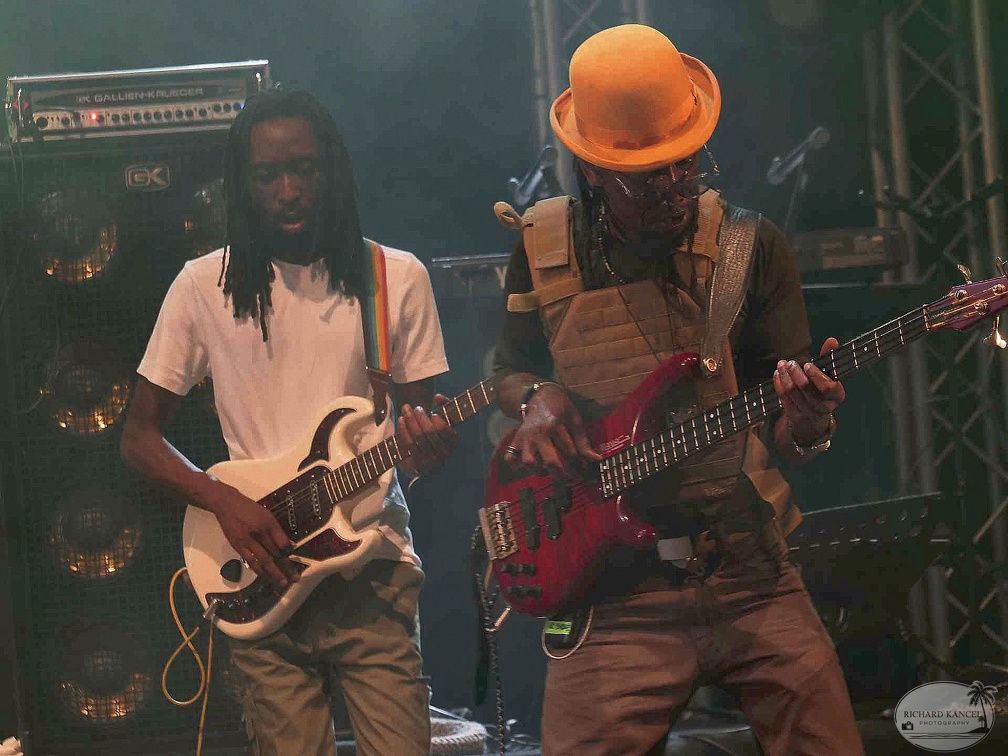 _1071464-aswad-terre-de-blues.jpg