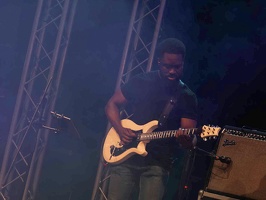  1071184-yemi-alade-terre-de-blues