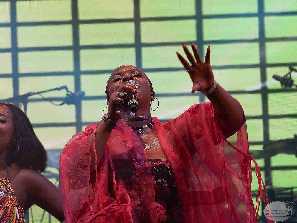_1071207-yemi-alade-terre-de-blues.jpg