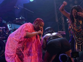  1071233-yemi-alade-terre-de-blues