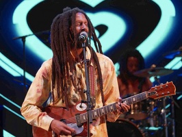  1071242-julian-marley-terre-de-blues