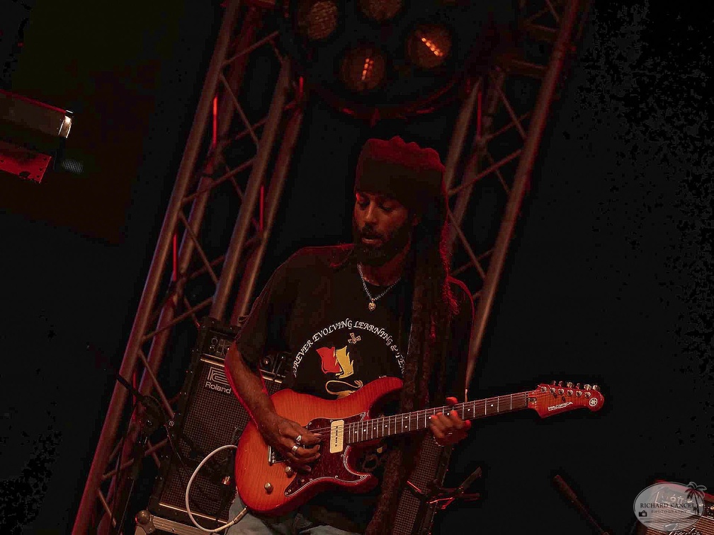 _1071264-julian-marley-terre-de-blues.jpg