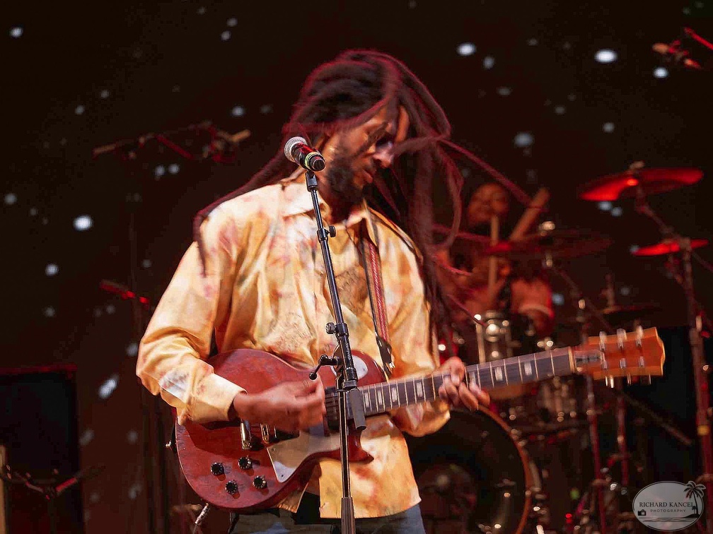 _1071272-julian-marley-terre-de-blues.jpg