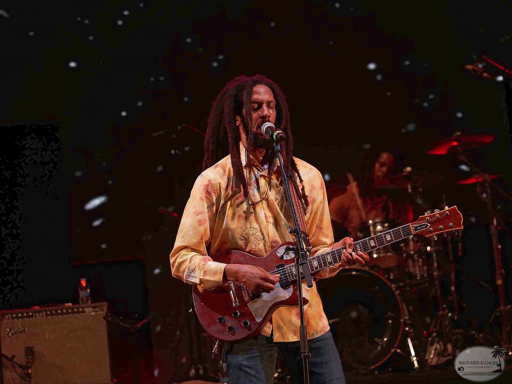 _1071273-julian-marley-terre-de-blues.jpg