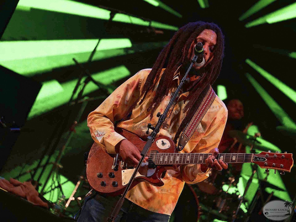_1071327-julian-marley-terre-de-blues.jpg