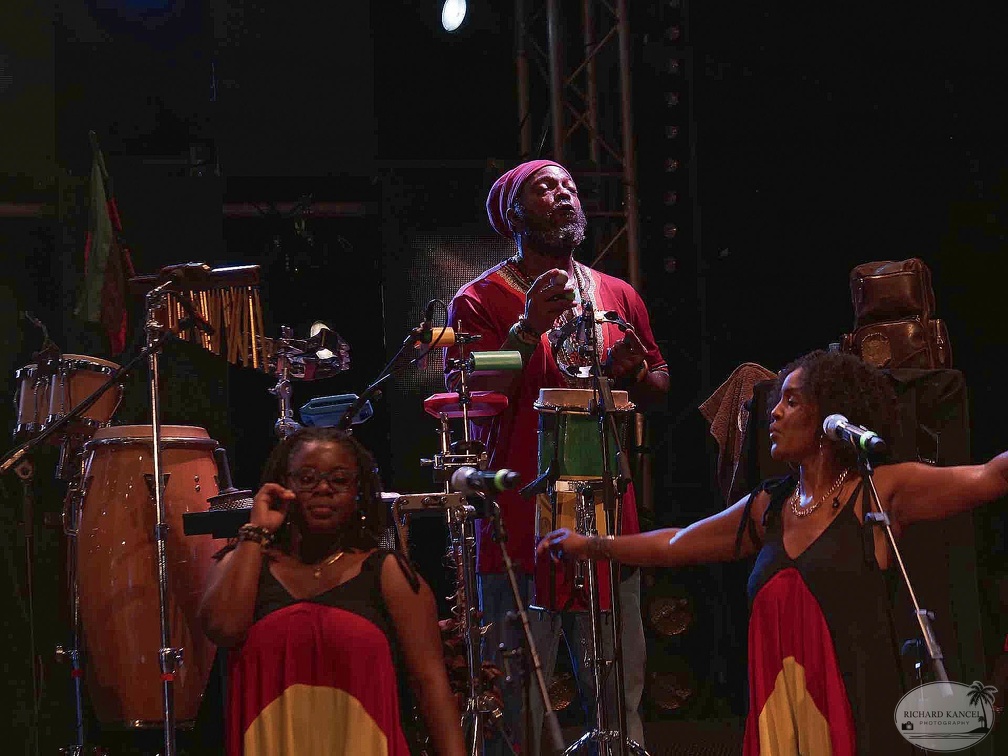 _1071338-julian-marley-terre-de-blues.jpg