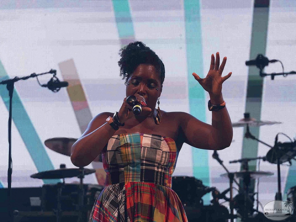 _1071355-florence-naprix-terre-de-blues.jpg