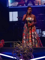  1071360-florence-naprix-terre-de-blues