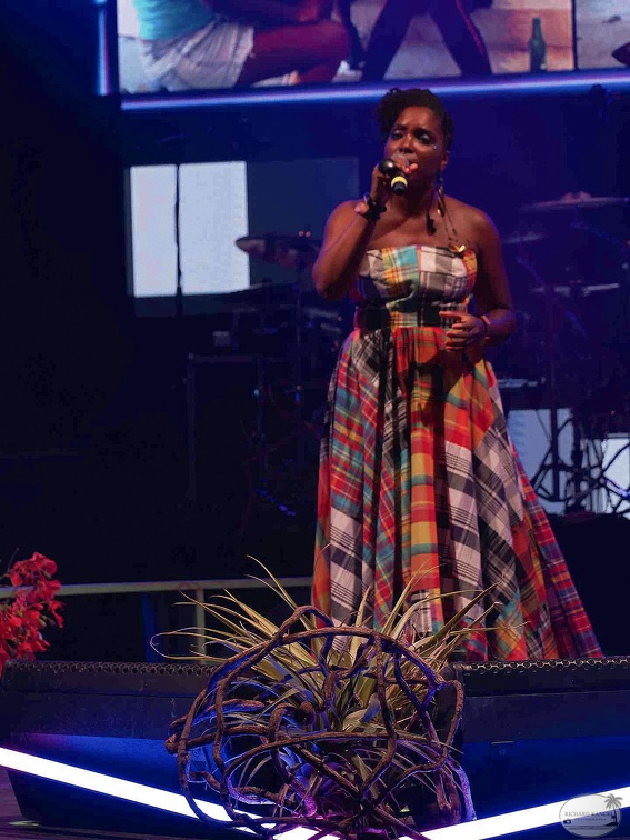 _1071360-florence-naprix-terre-de-blues.jpg