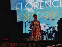  1071368-florence-naprix-terre-de-blues
