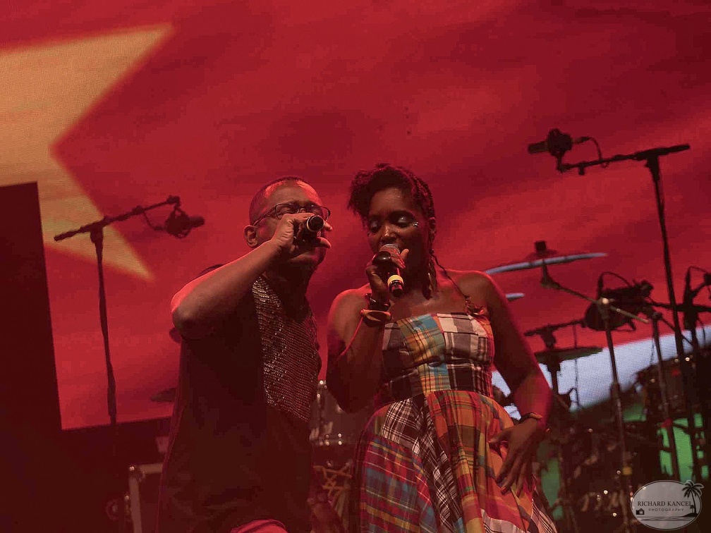 _1071402-florence-naprix-terre-de-blues.jpg