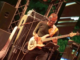  1070985-odla-terre-de-blues