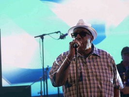  1071024-donald-ray-johnson-terre-de-blues