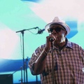 _1071024-donald-ray-johnson-terre-de-blues.jpg