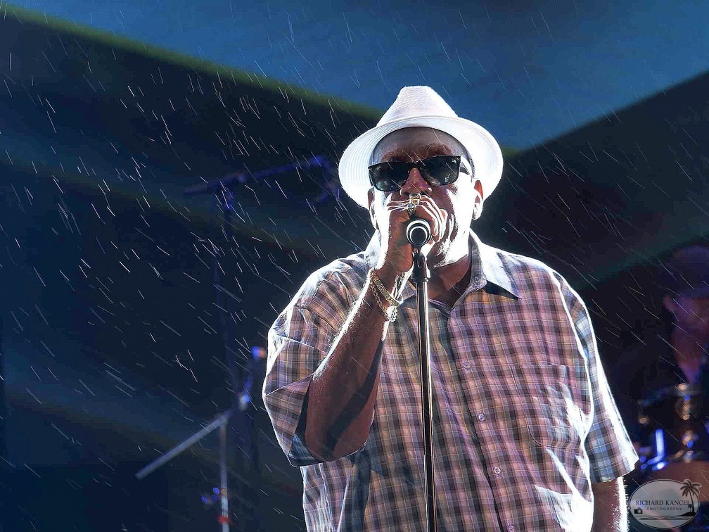 _1071035-donald-ray-johnson-terre-de-blues.jpg
