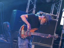  1071042-donald-ray-johnson-terre-de-blues