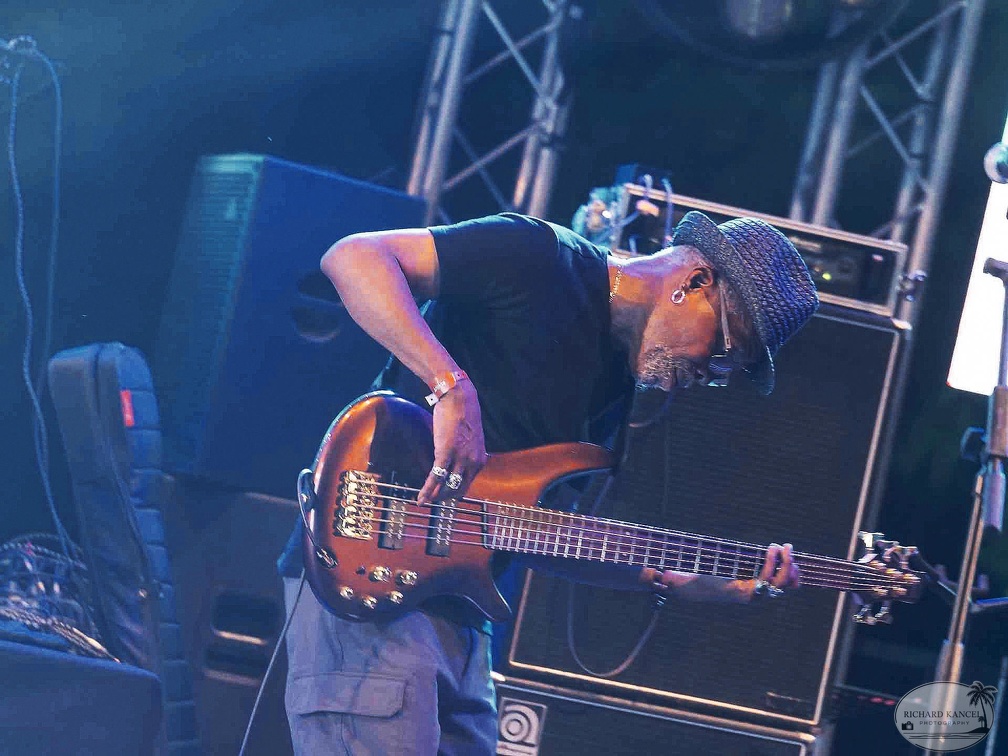 _1071042-donald-ray-johnson-terre-de-blues.jpg