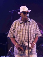  1071045-donald-ray-johnson-terre-de-blues