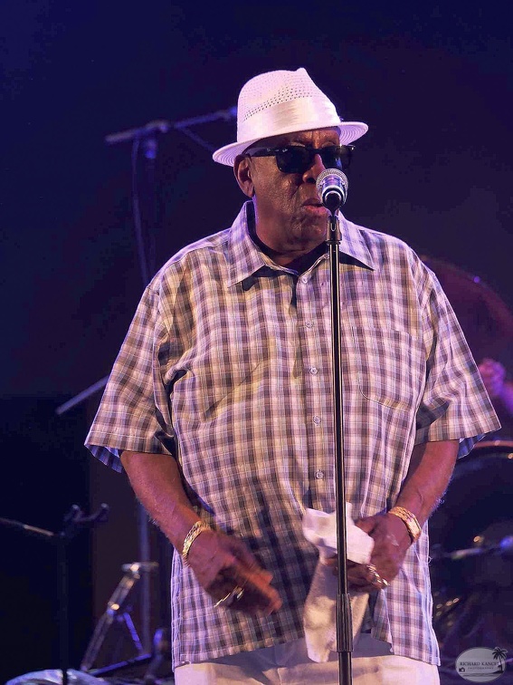 _1071045-donald-ray-johnson-terre-de-blues.jpg