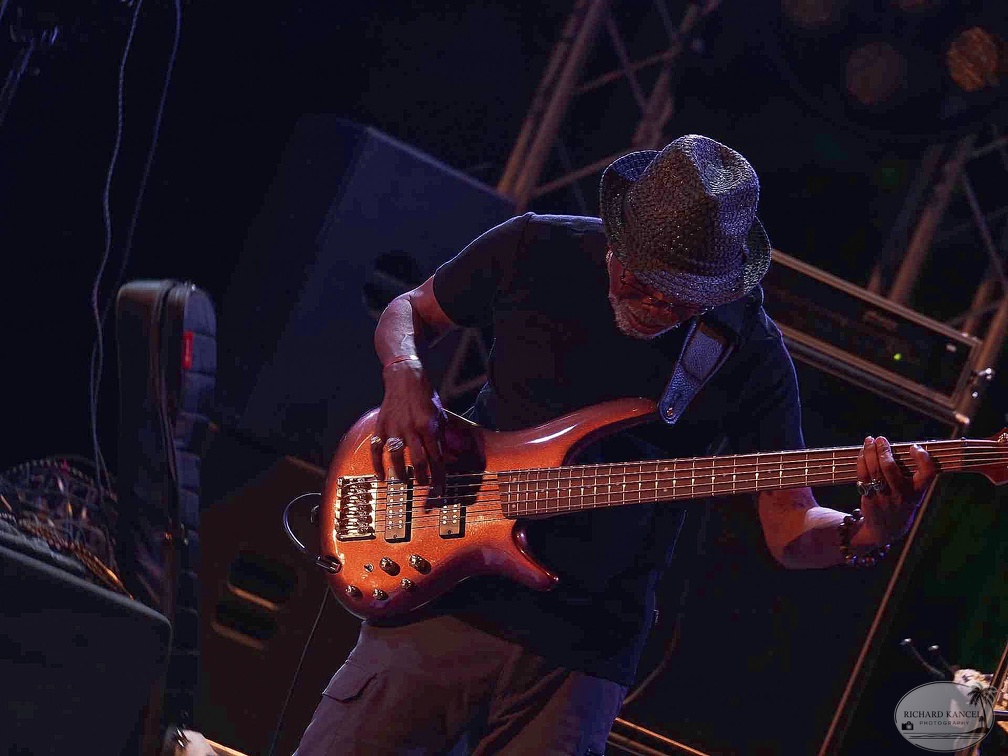 _1071059-donald-ray-johnson-terre-de-blues.jpg
