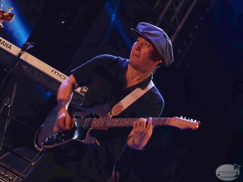 _1071065-donald-ray-johnson-terre-de-blues.jpg
