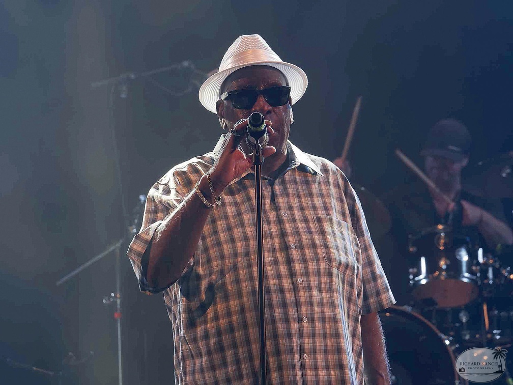 _1071075-donald-ray-johnson-terre-de-blues.jpg
