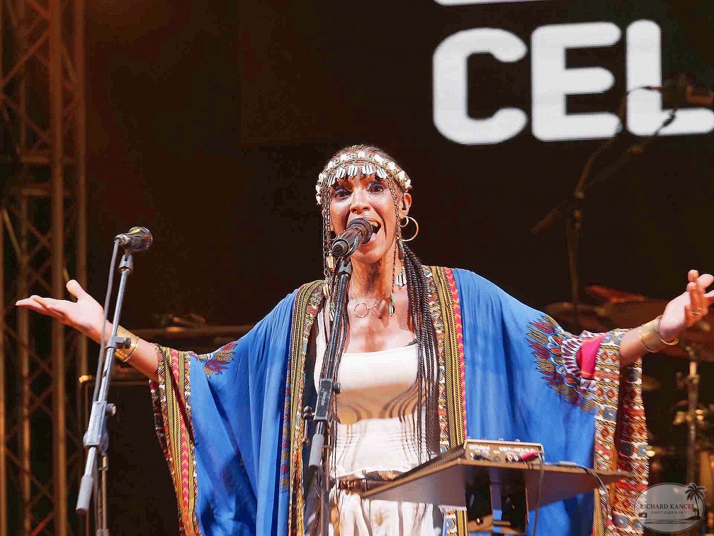 _1070751-celia-wa-terre-de-blues.jpg