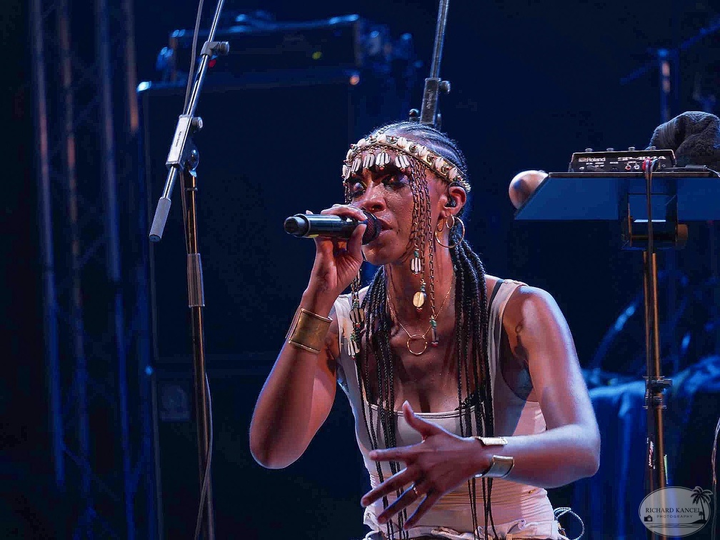 _1070807-celia-wa-terre-de-blues.jpg