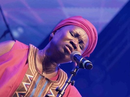  1083935terre-de-blues1