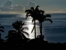 IMG 0769-lune-lune-hd